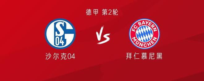 拜仁客战沙尔克：迪亚斯、布朗、卡尔出战，凯恩替补