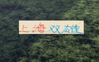 中超第26轮！申花虽然赢了，但他们还是落后海港1个名次 今年能反超海港吗