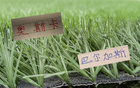 安佩姆也是好起来！能跟海港名宿奥斯卡 巴尔加斯一样在亚冠上演帽子戏法